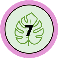 badge